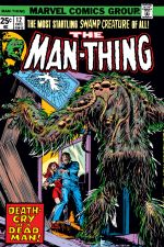 Man-Thing (1974) #12 cover