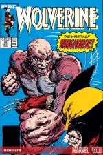 Wolverine (1988) #18 cover