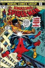 The Amazing Spider-Man (1963) #123 cover