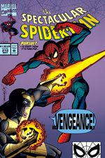 Peter Parker, the Spectacular Spider-Man (1976) #212 cover