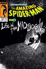 The Amazing Spider-Man (1963) #295 cover