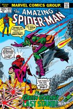 The Amazing Spider-Man (1963) #122 cover
