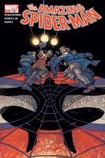 Amazing Spider-Man (1999) #507 cover