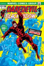 Daredevil (1964) #100 cover