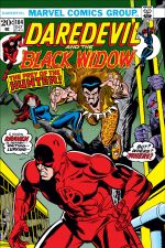 Daredevil (1964) #104 cover