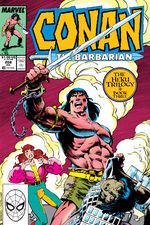 Conan the Barbarian (1970) #208 cover