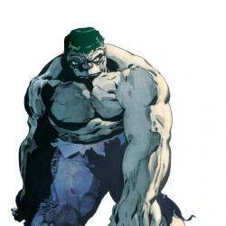 HULK: GRAY (2006) #1 COVER