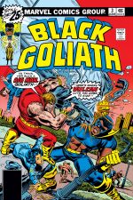 Black Goliath (1976) #3 cover