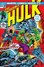 Incredible Hulk (1962) #163 cover