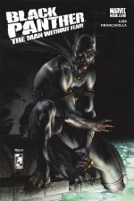 Black Panther: The Man Without Fear (2010) #514 cover