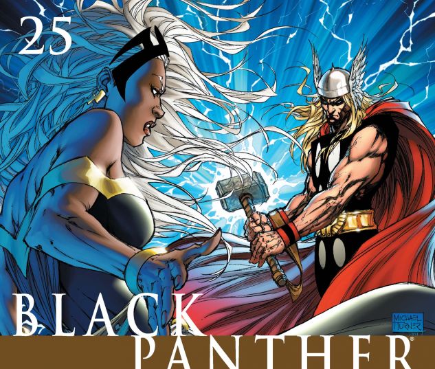 BLACK PANTHER (2005) #25 Cover