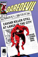 Daredevil (1964) #242 cover