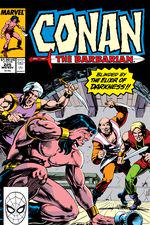 Conan the Barbarian (1970) #225 cover