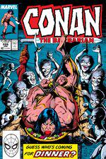 Conan the Barbarian (1970) #228 cover