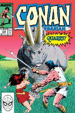 Conan the Barbarian (1970) #210 cover