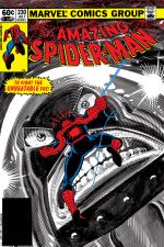 The Amazing Spider-Man (1963) #230 cover