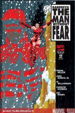 Daredevil: The Man Without Fear (1993) #2 cover