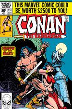 Conan the Barbarian (1970) #114 cover
