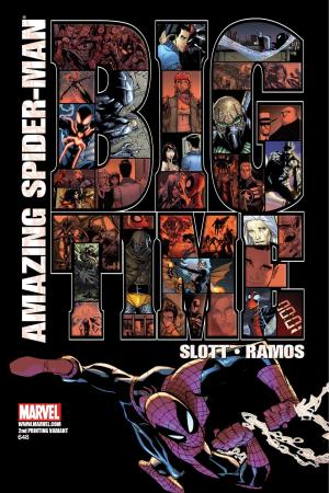 Amazing Spider-Man #648  (2ND PRINTING VARIANT)