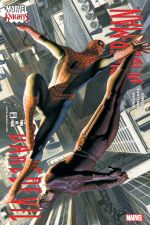 Daredevil/Spider-Man (2001) #2 cover