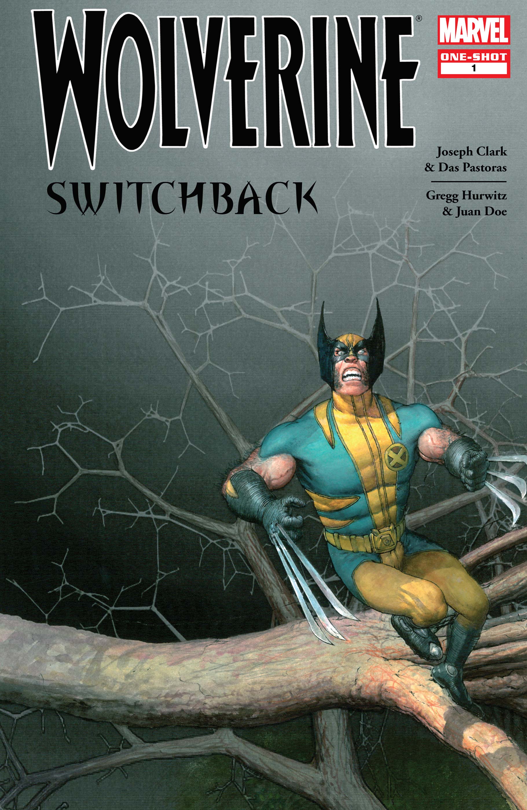 Wolverine: Switchback (2009) #1