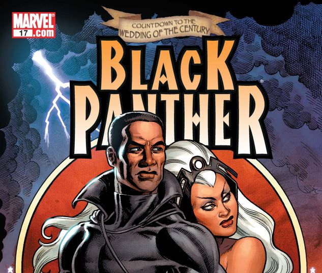 Black Panther (2005) #17 Cover