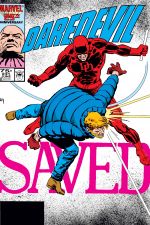 Daredevil (1964) #231 cover