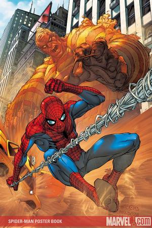 Spider-Man Poster #0 