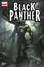 Black Panther (2005) #35 cover