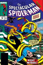 Peter Parker, the Spectacular Spider-Man (1976) #146 cover
