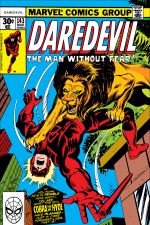Daredevil (1964) #143 cover
