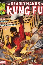 Deadly Hands of Kung Fu (1974) #26 cover