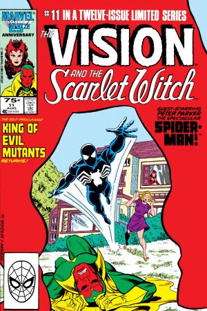 Vision and the Scarlet Witch #11 