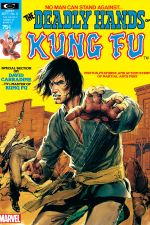 Deadly Hands of Kung Fu (1974) #4 cover