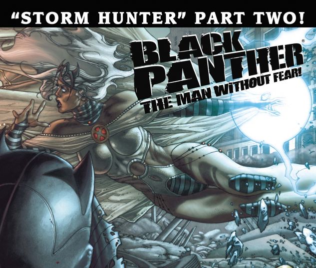 Black Panther: The Man Without Fear (2010) #520