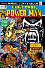 Power Man (1974) #19 cover