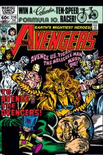 Avengers (1963) #216 cover