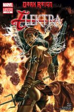 Dark Reign: Elektra (2009) #1 cover