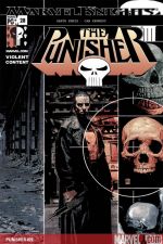 Punisher (2001) #28 cover