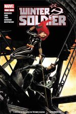 Winter Soldier (2012) #8 cover
