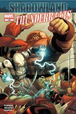 Thunderbolts (2006) #148 cover