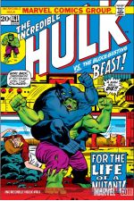 Incredible Hulk (1962) #161 cover
