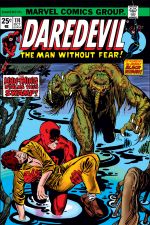 Daredevil (1964) #114 cover