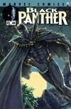 Black Panther (1998) #48