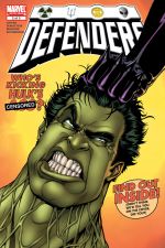 Defenders (2005) #2 cover