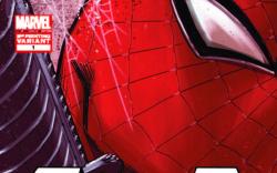 PUNISHER: WAR ZONE 1 2ND PRINTING VARIANT