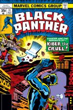 Black Panther (1977) #11 cover