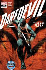 Daredevil (2019) #17 cover