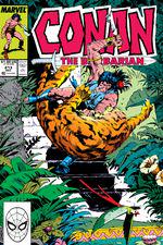 Conan the Barbarian (1970) #213 cover