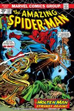 The Amazing Spider-Man (1963) #132 cover